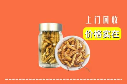收购资讯:甘南玛曲县回收散虫草