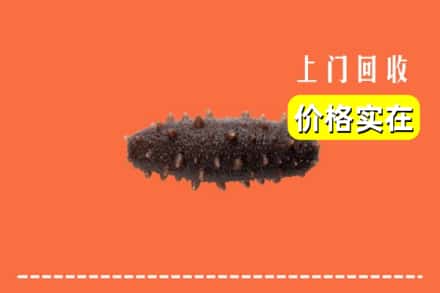 收购资讯:甘南玛曲县回收海参