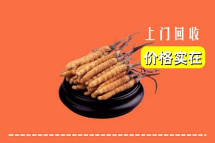 甘南玛曲县回收冬虫夏草